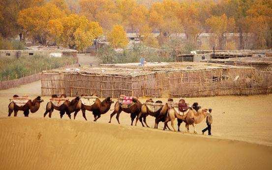 中国面积“最大”的村庄，开车出村要花5小时，在地图上却找不到