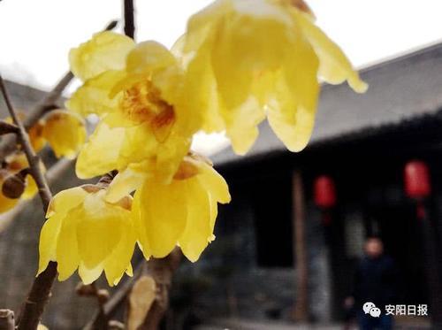 青砖灰瓦，古色古香，与甜水井街并称“龙凤街”