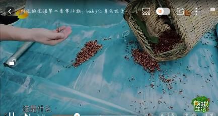 别人冒雨做的爆米花，杨颖却假吃?官博的回复让人不解