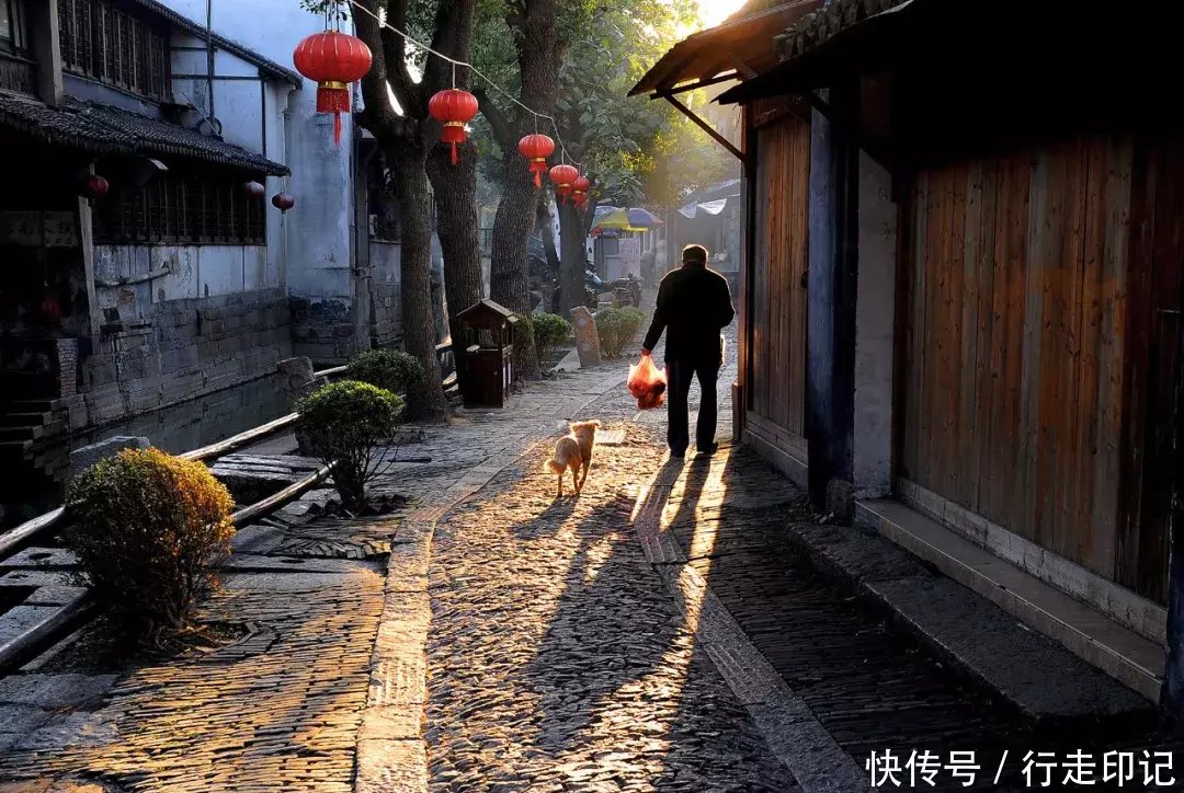 4000米高空跳伞是什么感觉?来甪直体验当“鸟人”的滋味