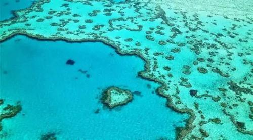 全世界都在说“我爱你”，而我要送你小心心