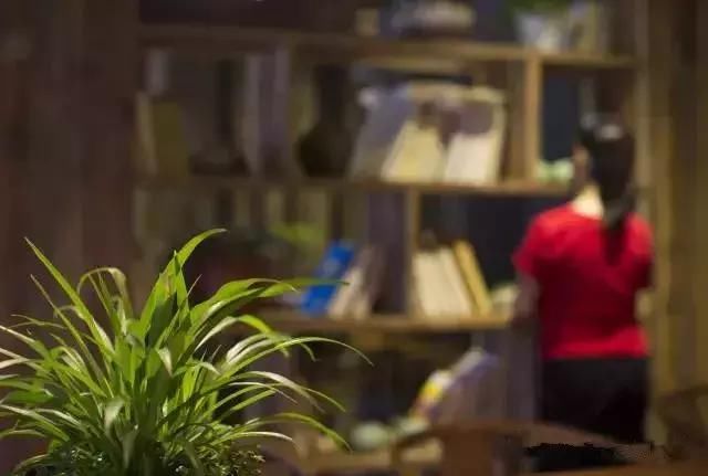 工作20年就退休，带4个闺蜜归隐山林，过上神仙般的生活