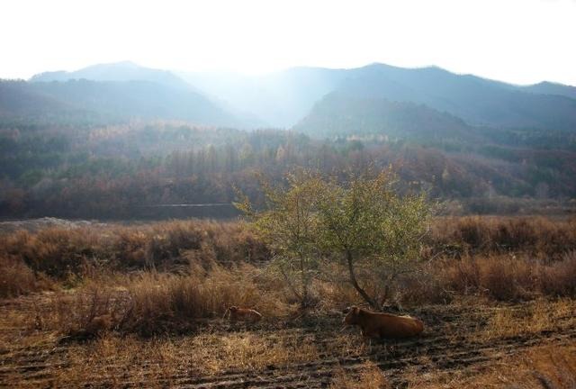 严守耕地保护红线！为什么一年时间，15.5亿亩变成15.46亿了？
