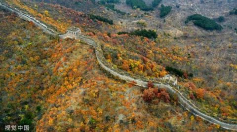  「视窗」视窗 | 黄花城古长城深秋景如画