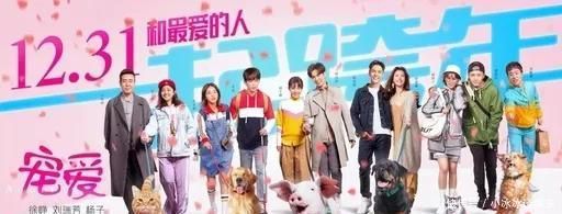 宠爱的导演是杨子