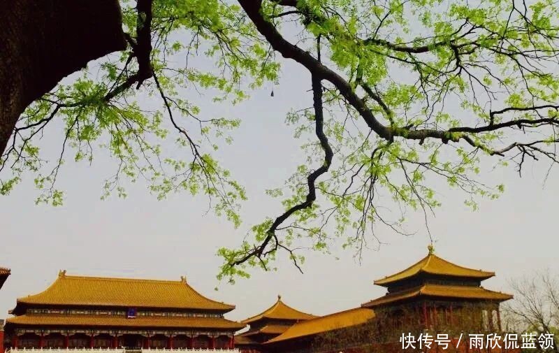  「明明」为什么？明明故宫里珠宝的品相很差，却成为无价之宝？