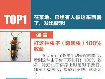 蒙骗亿万国人的十条谣言，你不看，现在还蒙在鼓里！