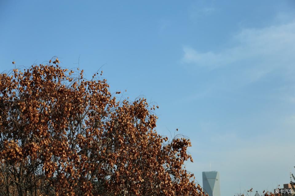  『兰州』大王泒我去巡山【2】兰州碑林