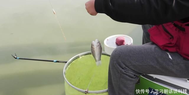  「中鱼」糗钓半天浮漂一动不动，换饵料时却钓上来一条鱼，这是怎么回事？