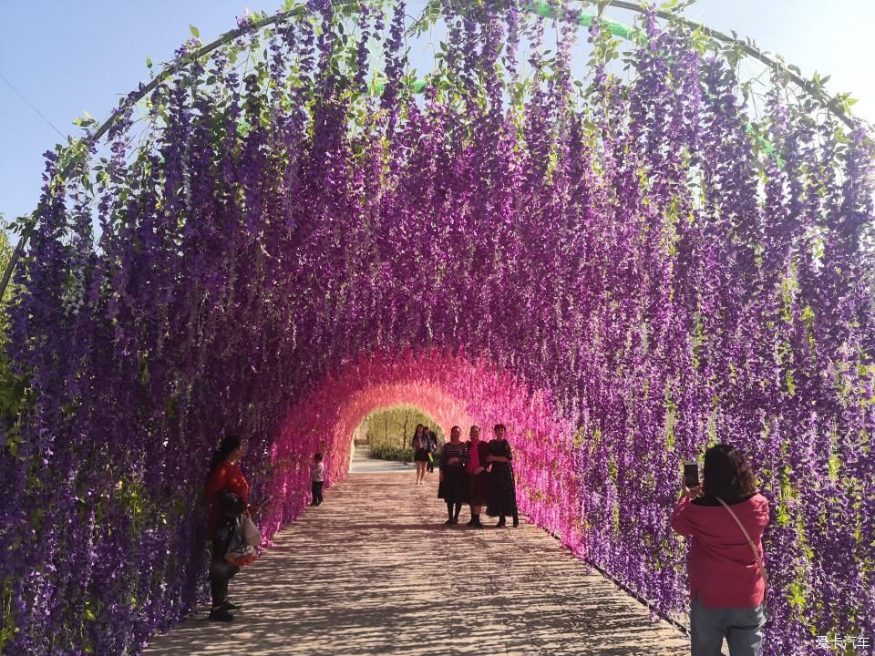 宜昌周边-秭归月亮花谷