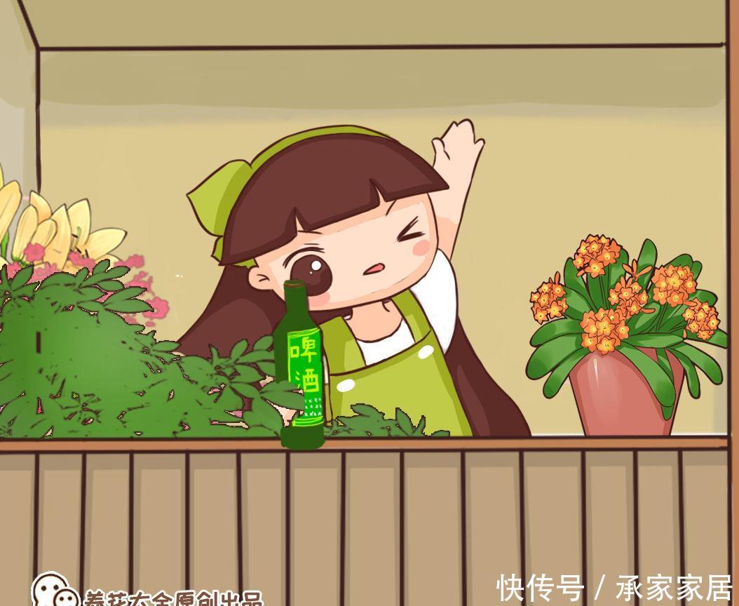 『绿萝』绿萝是个老酒鬼,半月喝一次啤酒,叶子旺长拦不住