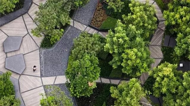 超实用 | 景观植物设计方法(值得收藏)