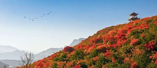 秋日里，山西20处绝美赏秋胜地美的像仙境