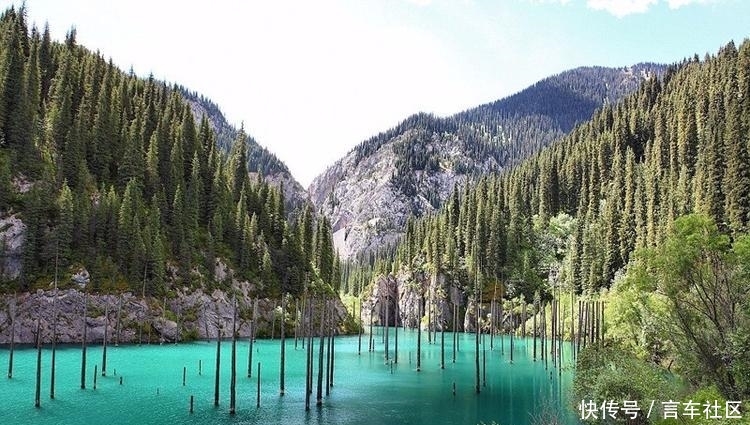 哈萨克斯坦的湖泊水下森林似仙境般美丽