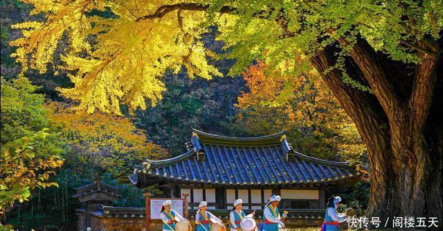 大量辞退中国员工, 这个国家你过了, 网友再也不去了