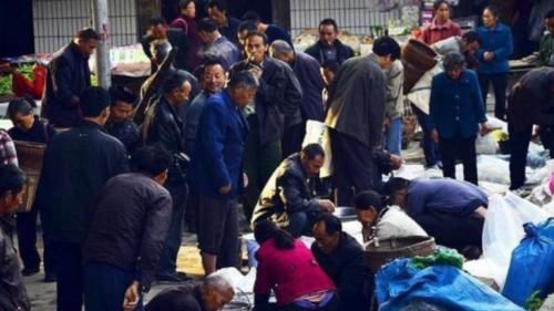  [小贩]为什么农村要隔几天一次“赶集”，难道不能天天赶集吗？