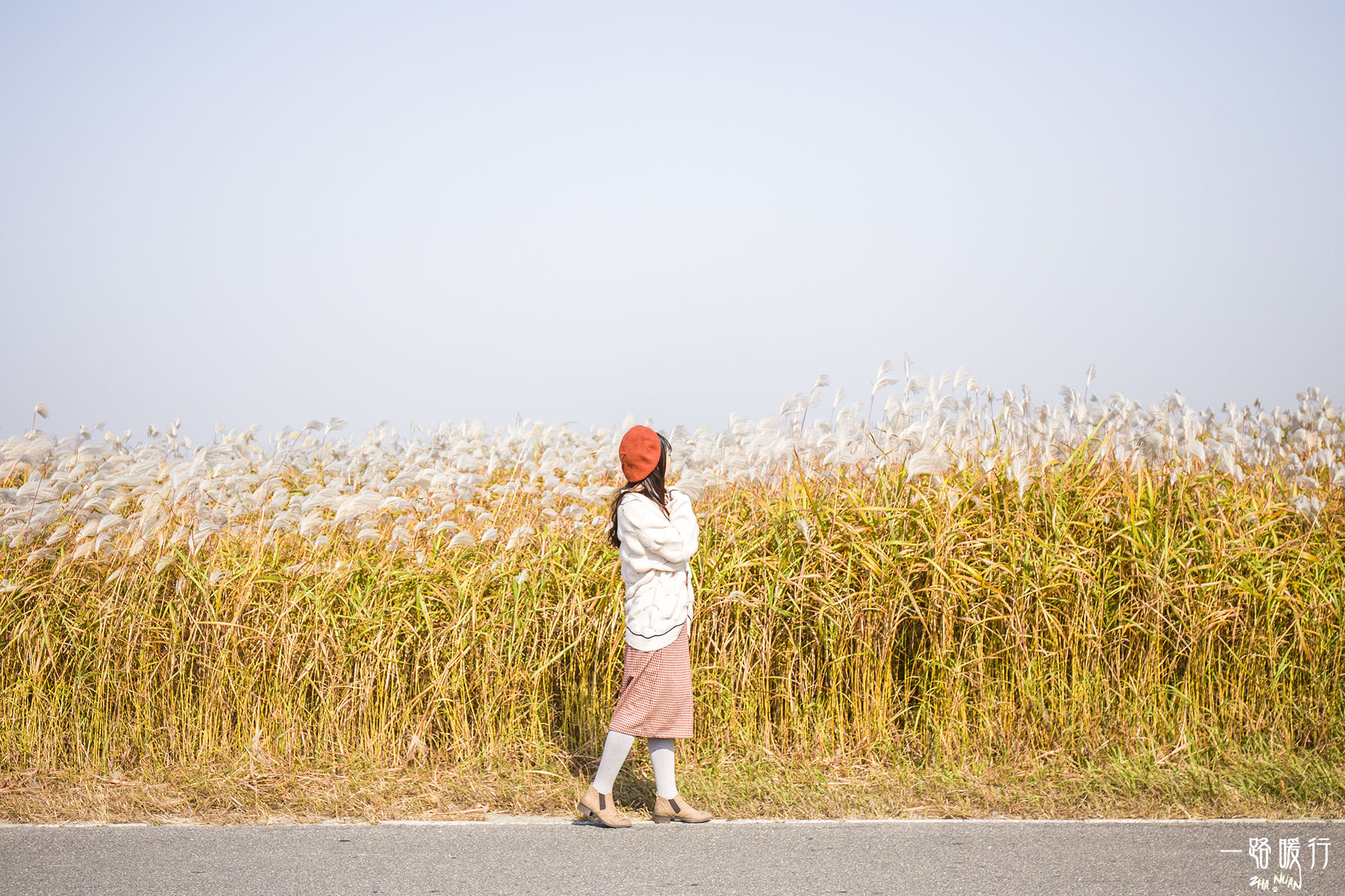东营丨走过沧海桑田,终是在芦花飞雪的秋日遇见你