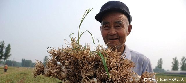 农村人种植的这种作物卖到12元1斤 农民却没有获利