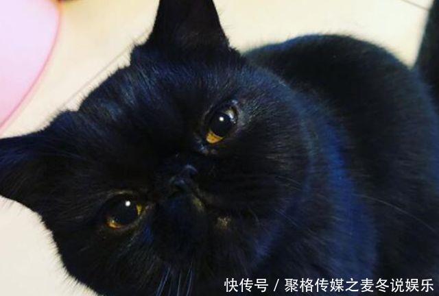 关晓彤鹿晗被曝分手？关晓彤直接一张照片打脸造谣者，大赞情商高