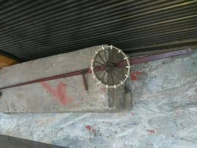  「饲养的甲鱼」一种历史悠久，技术含量很高的甲鱼钓法，如今只留在记忆里