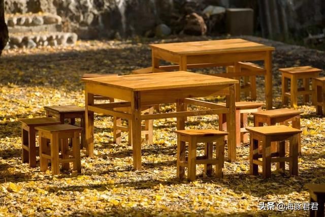 云南的秋天来了，这个小村又要开始搞“黄色”