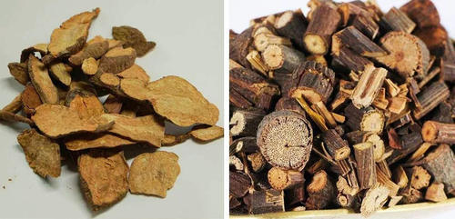 国字脸分分钟变小V，热巴和赵薇亲自示范换脸一“刀”切！