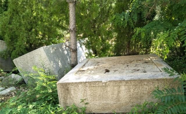 世外桃源般的山东古村，荣获全国美丽乡村，年游客30万成“网红村