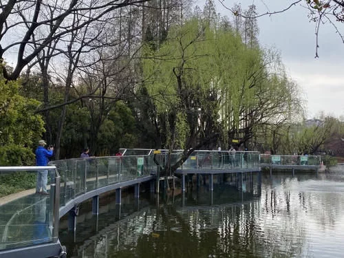 春姑娘来了 昆明这几个公园可以踏春赏花啦【2020热门旅游景点】