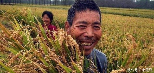 一斤粮食抵不上一瓶矿泉水，农民不解，为何国家不提高粮食价格？
