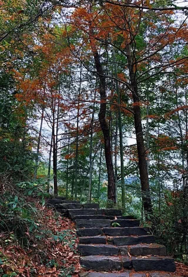 浙江不只有江南烟雨,这10个地方藏着浙江的绝美秋景