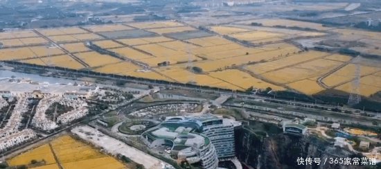 耗时12年，中国建了一座“世界最矮高楼”，全世界一片惊叹！