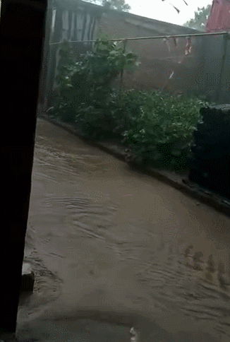 河北再发暴雨预警！多地“看海”，防汛应急响应启动