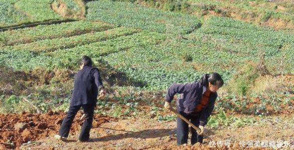 2019年农民永久退地每亩补多少钱 4万还是10万 需要啥条件