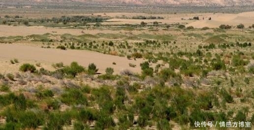 中国“超级”工程，30万亩沙漠成绿洲，印度：没有我们中国做不到