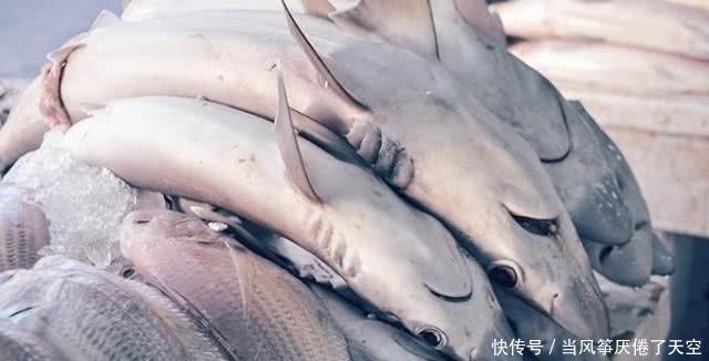 迪拜的菜市场是啥样?只要钱到位,只有想不到没有你买不到的