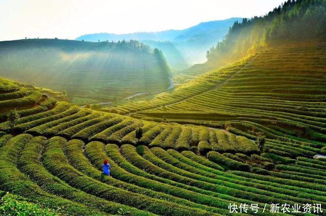 中国的“世外桃源”：整座村子被群山包围，只能从狭小的山洞进去