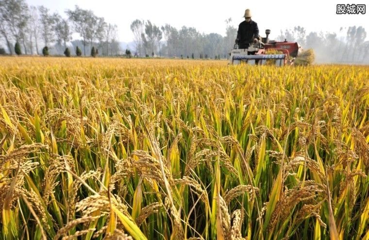 2019年粮补通知 粮补上涨了一亩补贴650元