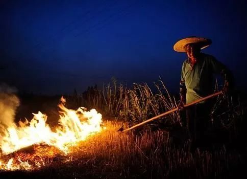 秸秆现在让烧了！以前烧秸秆罚的钱给退不？