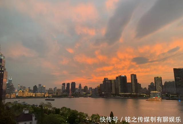 平均气温大于22℃:昨天,上海因为它登上热搜!美到窒息……