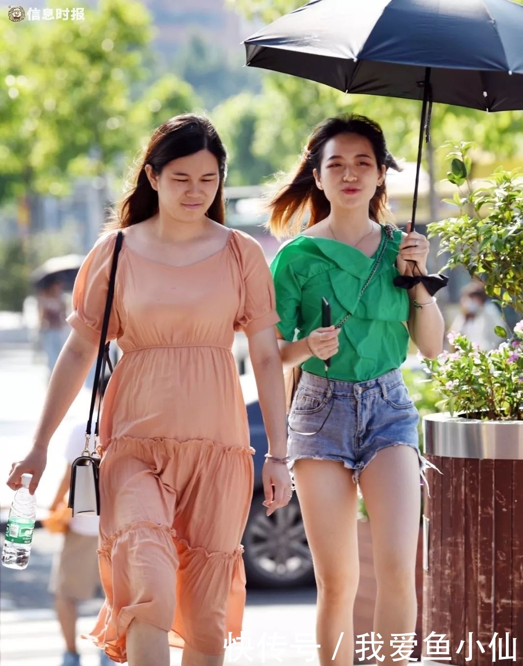 17级！今年最强台风“利奇马”一路横扫，狂风暴雨！广东将变成这