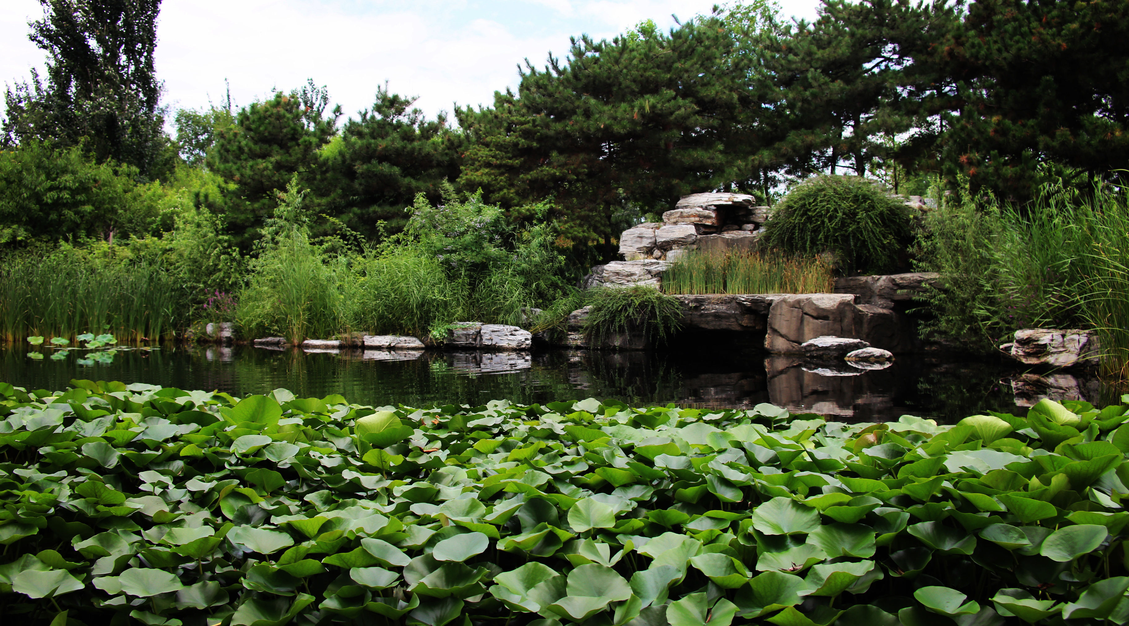 北京市区里:竟然有一座11层楼高佛像