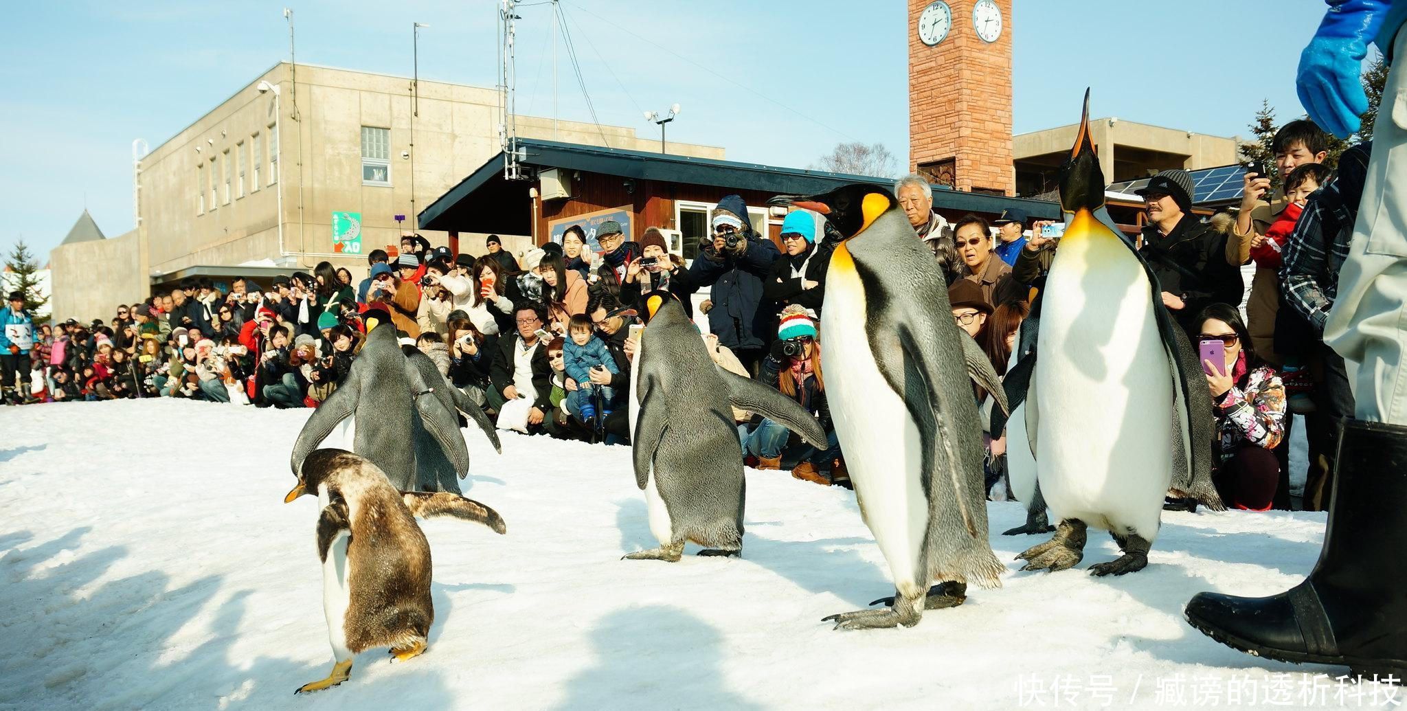 你挣到的工资,除了正常生活支出,还有余下钱用来旅游吗?