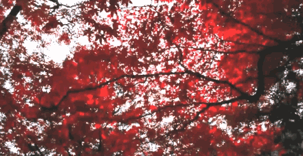 《延禧攻略》竟把陕西的陕西灵秀美景藏了进去！