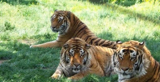 教师节、中秋节、国庆节，这里统统给你安排好了