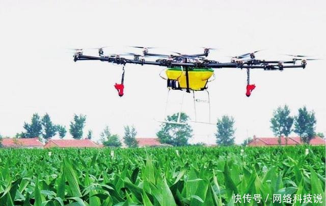 这两个证件没办的抓紧办了，明年可能不能办了，别让子女“吃亏”