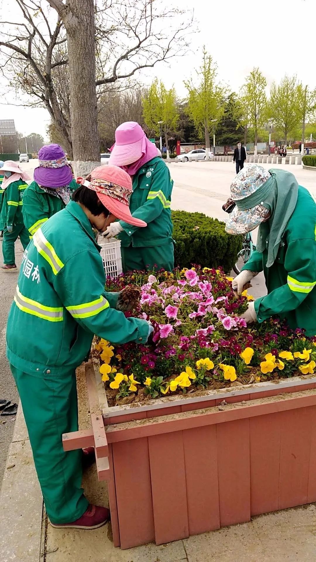  【簇拥】菏泽：鲜花簇拥牡丹城