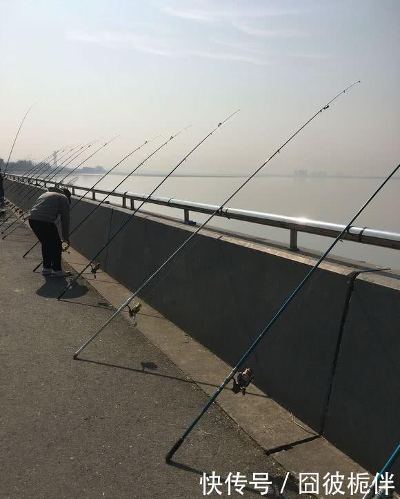 钱塘江已无鱼可钓?江边现“千竿阵”,场面壮观却鱼获惨淡