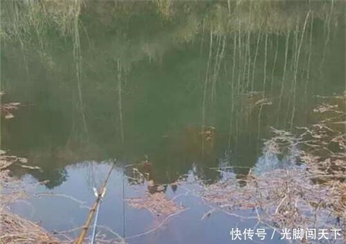  「信号」夏季野钓浮漂没信号，为什么抬竿总能锚到鱼这三点原因你要知道