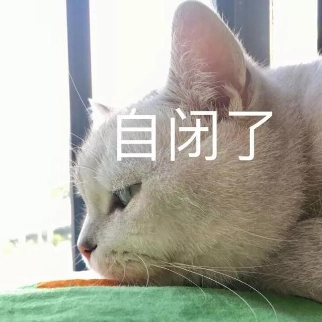 入秋别买这条裙子！真的丑！