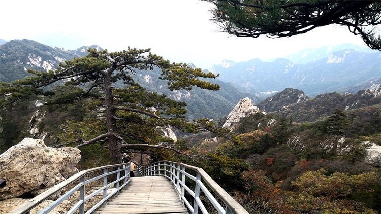 河南一座可与黄山相媲美的山峰，堪称天然避暑胜地，还是5A景区